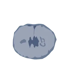Fertilized egg